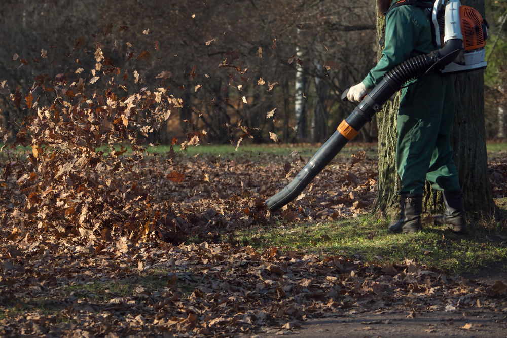 Seasonal landscaping services including cleanup, mulch refresh, trimming, and year-round property maintenance